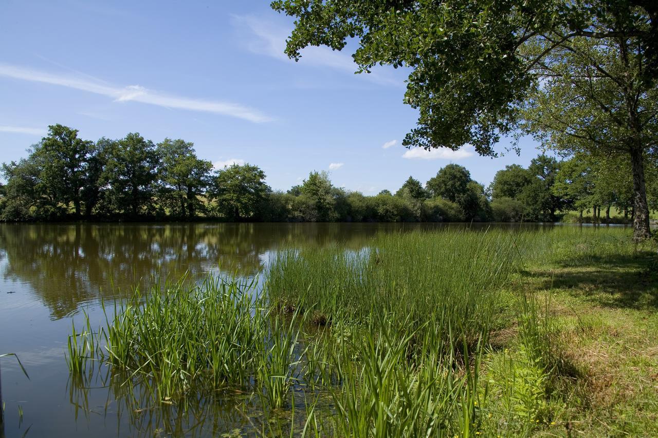 La Maison du Lac Thionne Extérieur photo